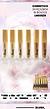 Corretivo liquido c/24pcs (LN02525) Lua&neve