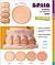 Po Compacto Classic /24pcs SP COLORS