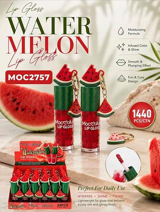 Lip gloss melaxia /24pcs MOC