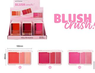 Paleta de blush /24pcs MISS ROMANTIC