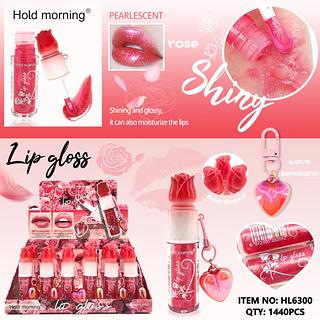 Lip gloss c/24pcs Hold Morning
