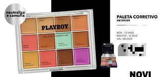 Paleta corretivo C/12pcs Play boy